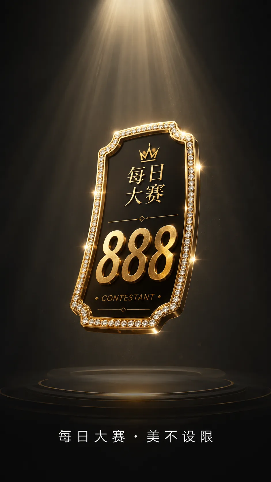 参赛档案 · 公开编号与身份边界